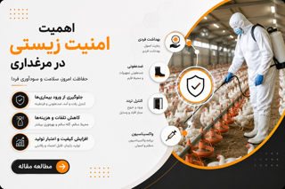 اهمیت امنیت زیستی در مرغداری‌ها؛ اصول و راهکارهای پیشگیری از بیماری