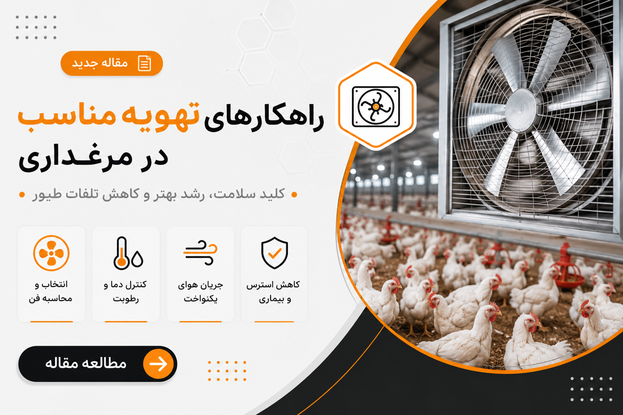 راهکارهای تهویه مناسب در مرغداری؛ انواع سیستم‌ها و اصول مدیریت هوا