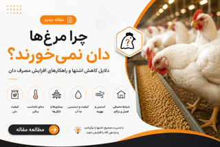 کاهش مصرف دان در مرغ و راه‌های اصولی افزایش اشتها